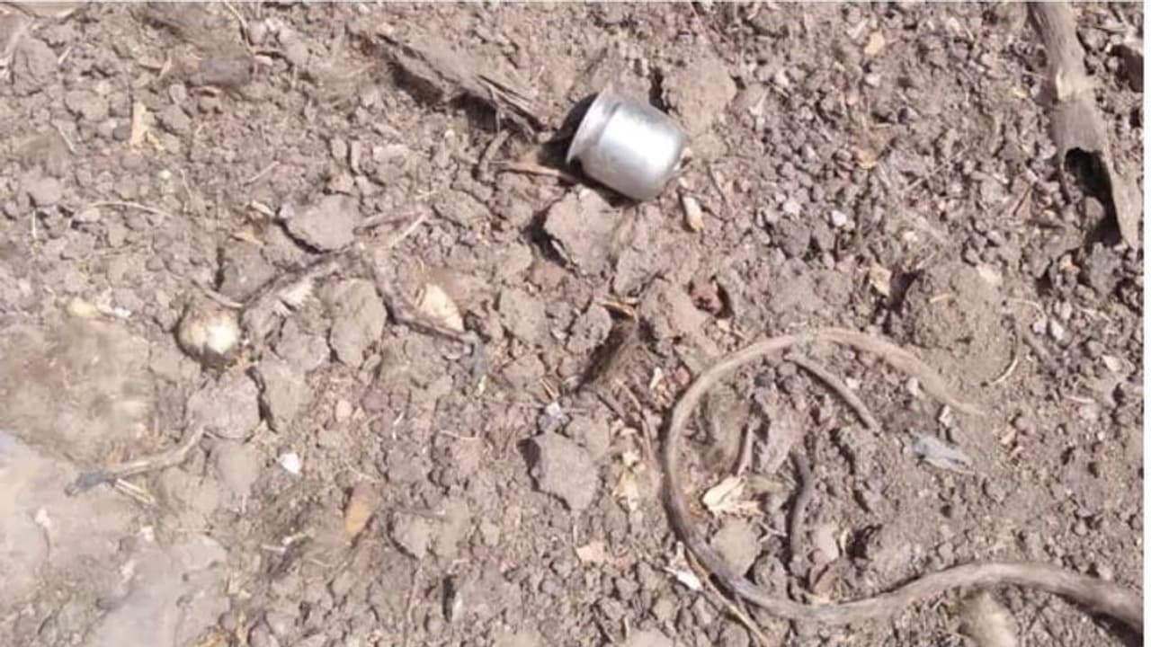 മധ്യപ്രദേശില് വനത്തില് 15 കുരങ്ങുകള് ചത്തനിലയില് മധ്യപ്രദേശില് വനത്തില് 15 കുരങ്ങുകള് ചത്തനിലയില്