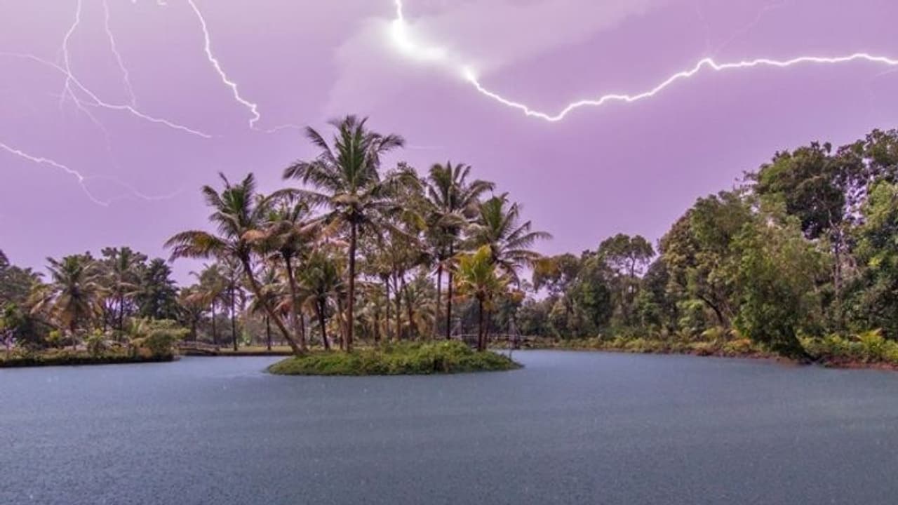 കാലവർഷം ഇന്ന് എത്തിയേക്കും, മൂന്ന് ജില്ലകളില് റെഡ് അലര്ട്ട്; ശ്രദ്ധിക്കേണ്ട കാര്യങ്ങള് കാലവർഷം ഇന്ന് എത്തിയേക്കും, മൂന്ന് ജില്ലകളില് റെഡ് അലര്ട്ട്; ശ്രദ്ധിക്കേണ്ട കാര്യങ്ങള്