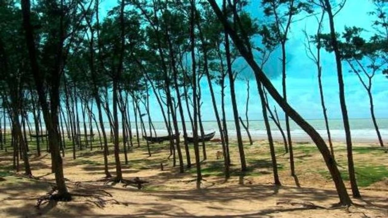 সপ্তাহের শেষে দুদিনের ট্রিপ, জেনে রাখুন বিচিত্রপুরের বিচিত্র কথা সপ্তাহের শেষে দুদিনের ট্রিপ, জেনে রাখুন বিচিত্রপুরের বিচিত্র কথা