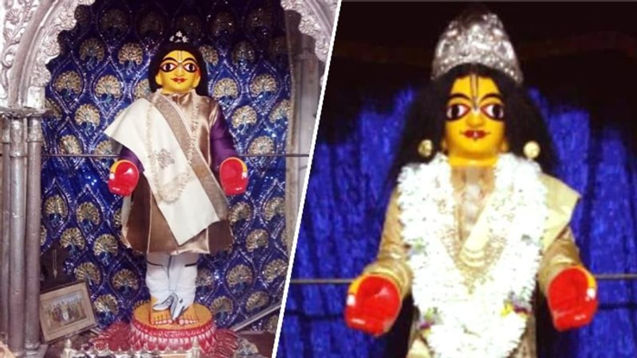 নতুন ধুতি পঞ্জাবি থেকে আম ক্ষীর, মহাপ্রভুর জামাইষষ্ঠীতে ব্যস্ত নবদ্বীপ নতুন ধুতি পঞ্জাবি থেকে আম ক্ষীর, মহাপ্রভুর জামাইষষ্ঠীতে ব্যস্ত নবদ্বীপ