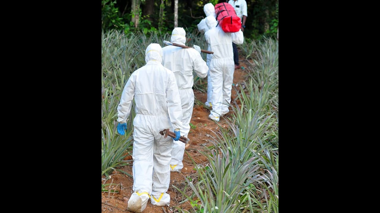 നിപയെ വീണ്ടും തോല്പ്പിച്ചത് ഇങ്ങനെ; " നമ്മുടെ എല്ലാ രാത്രികളിലെയും കാവൽക്കാർ " നിപയെ വീണ്ടും തോല്പ്പിച്ചത് ഇങ്ങനെ; " നമ്മുടെ എല്ലാ രാത്രികളിലെയും കാവൽക്കാർ "
