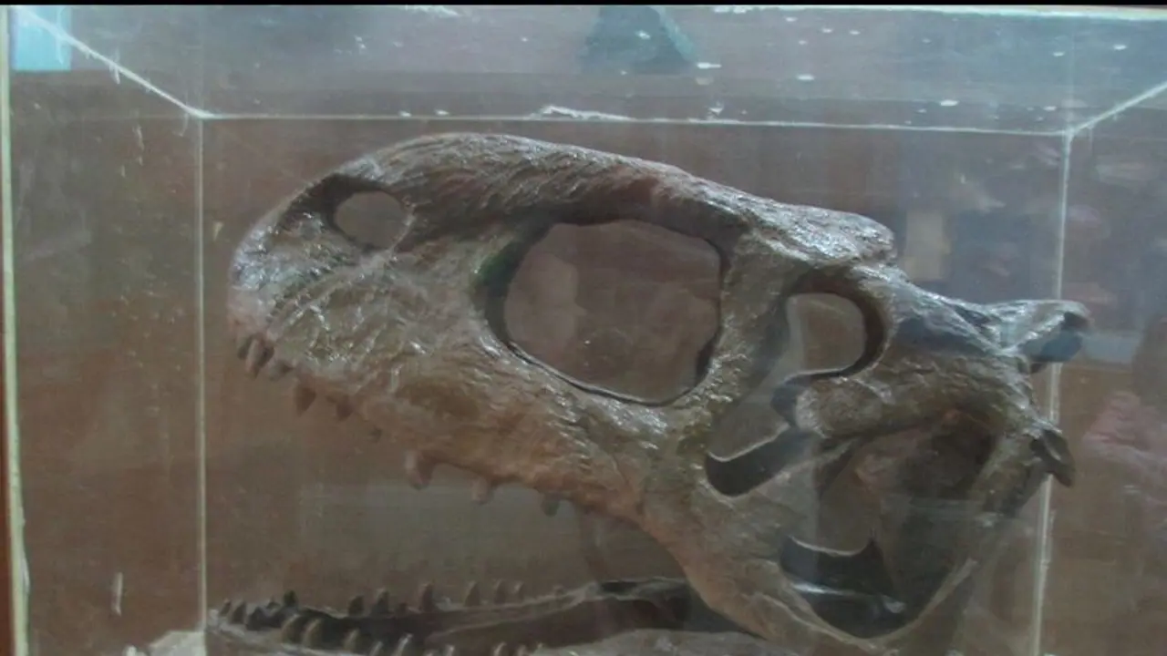India gets its first dinosaur museum in Gujarat