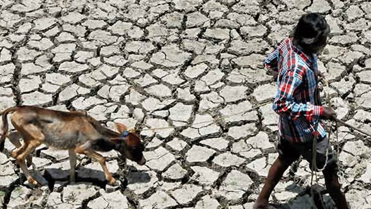 26 மாவட்டங்களில் நிலத்தடி நீர்மட்டம் கடும் சரிவு... ஆய்வில் அதிர்ச்சி தகவல்..! 26 மாவட்டங்களில் நிலத்தடி நீர்மட்டம் கடும் சரிவு... ஆய்வில் அதிர்ச்சி தகவல்..!