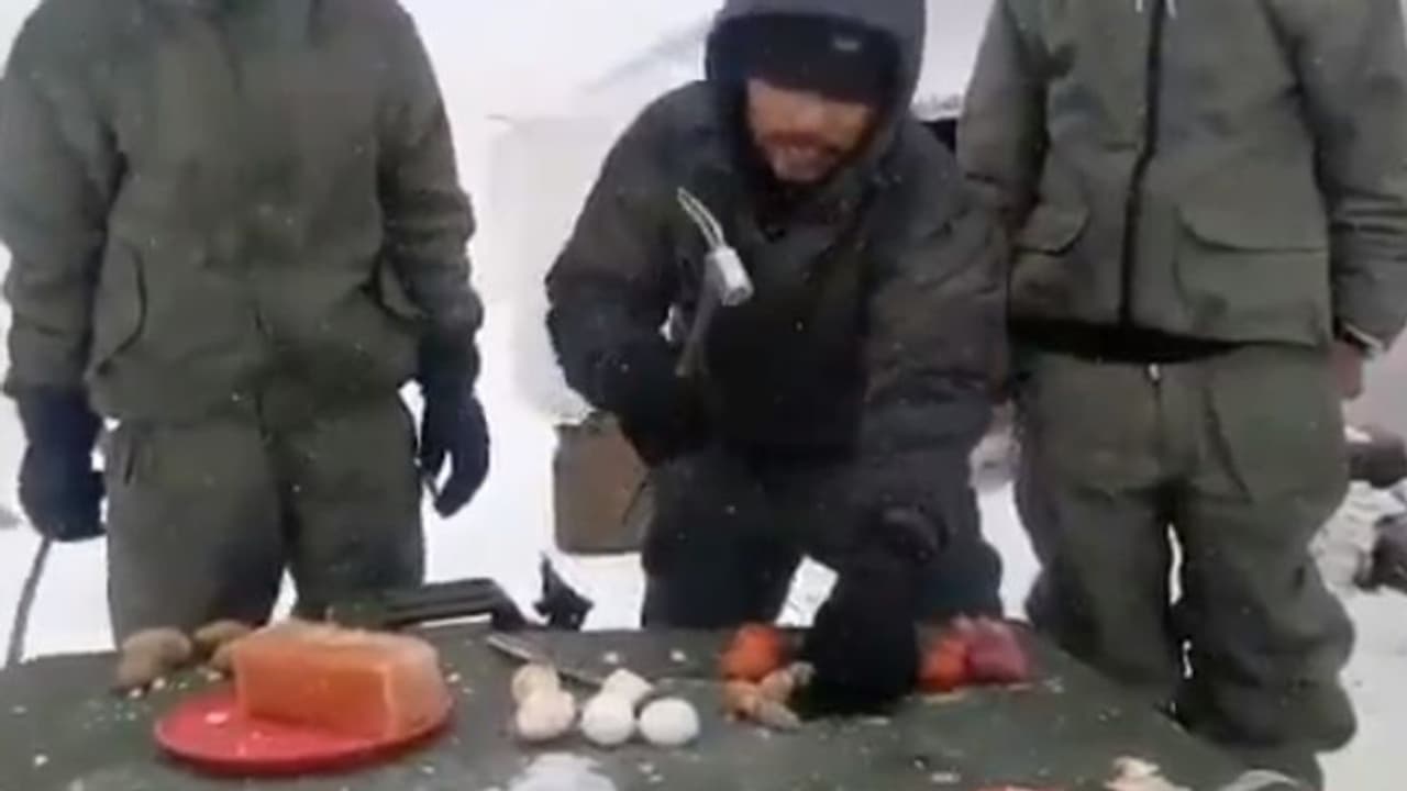 মাইনাস ৬০ ডিগ্রি তাপমাত্রায় হাতুরির ঘায়েও ভাঙছে না ডিম, দেখুন ভিডিও মাইনাস ৬০ ডিগ্রি তাপমাত্রায় হাতুরির ঘায়েও ভাঙছে না ডিম, দেখুন ভিডিও