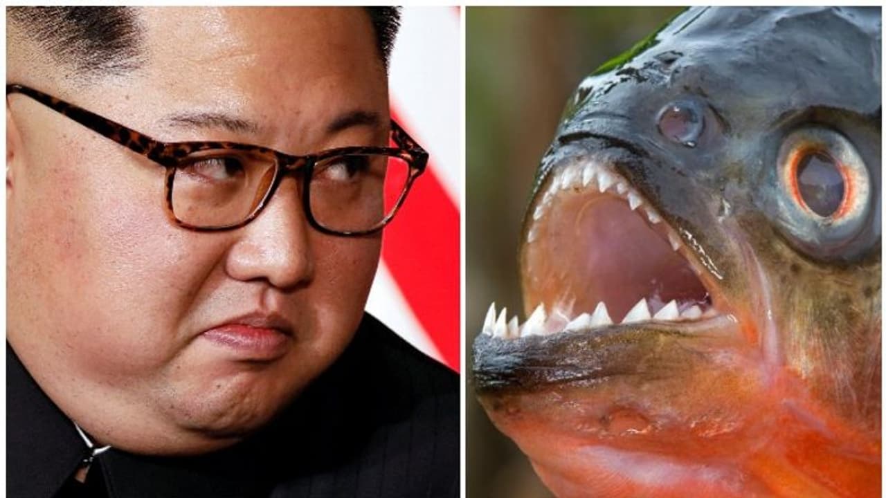 സൈനിക ജനറലിനെ കൊലയാളി മത്സ്യത്തിന് ഇട്ടു കൊടുത്ത് കിം, പ്രചോദനം ജയിംസ് ബോണ്ട് ചിത്രം