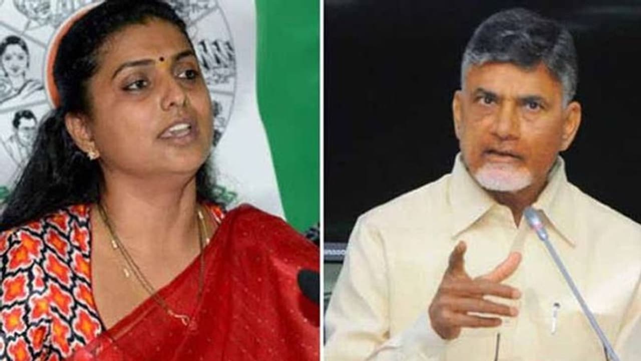 ఎర్రగడ్డ నుంచి లొల్లి చేసేందుకు వచ్చారు: చంద్రబాబును వీధి రౌడీ అన్న రోజా