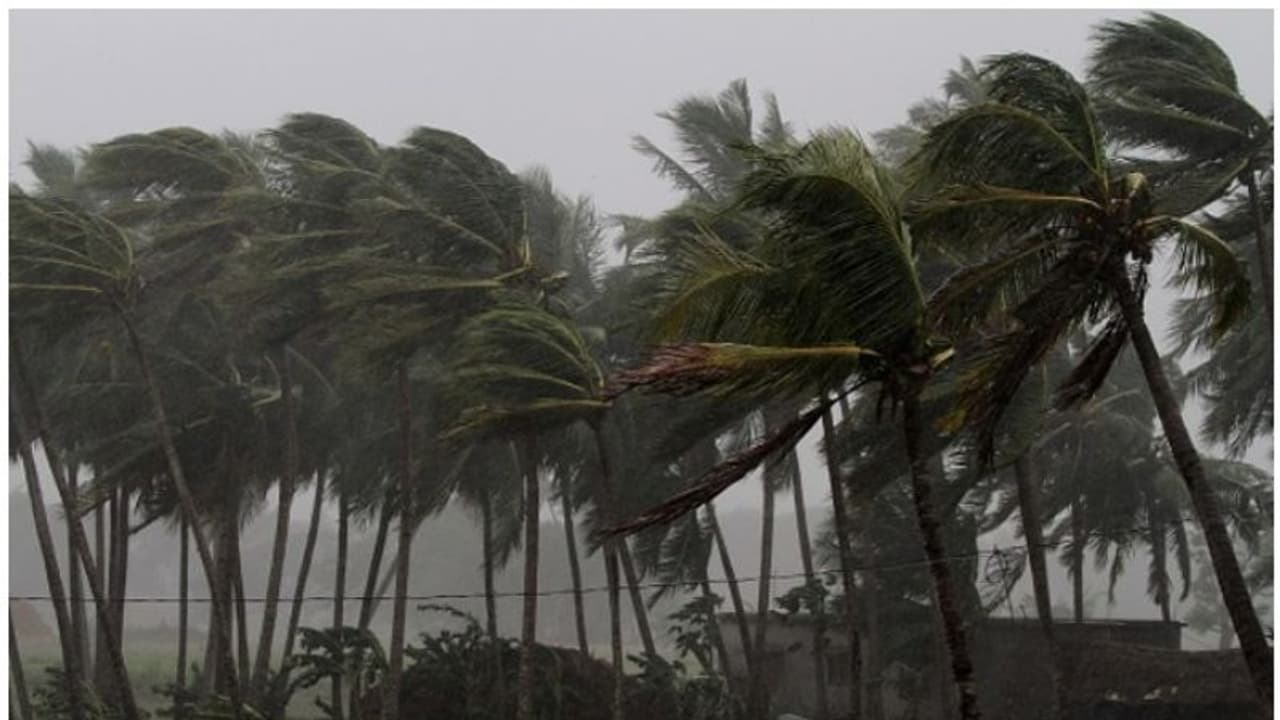 Monsoon claims 4 lives; heavy rains to continue in Kerala for next 5 days