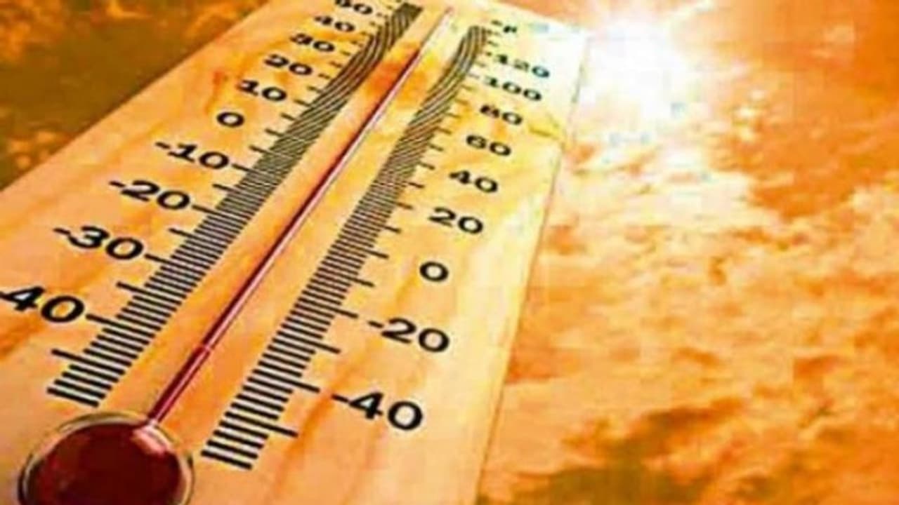 दुनिया के कई देश खतरनाक हीटवेव की चपेट में, लोगों को बचाने के लिए कूलिंग शेल्टर्स खोले जा रहे