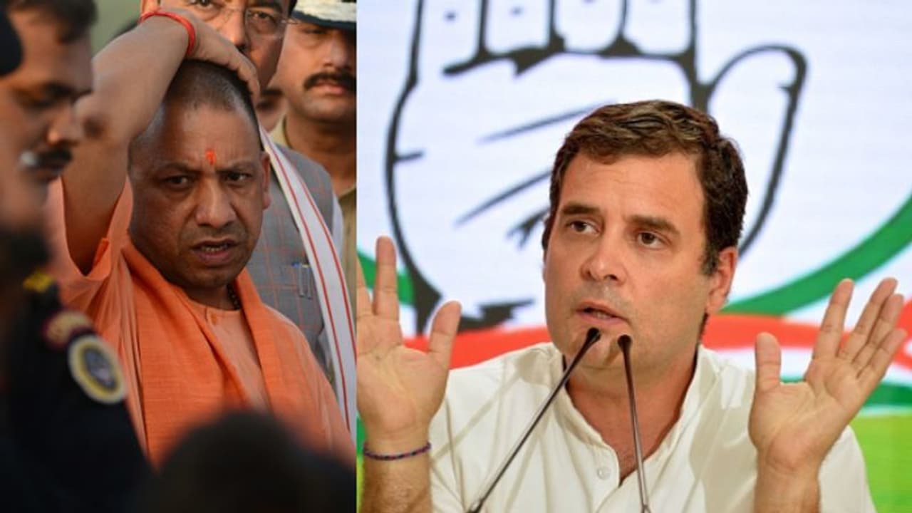 সাংবাদিককে গ্রেফতার করা বোকামো যোগীকে তোপ দাগলেন রাহুল