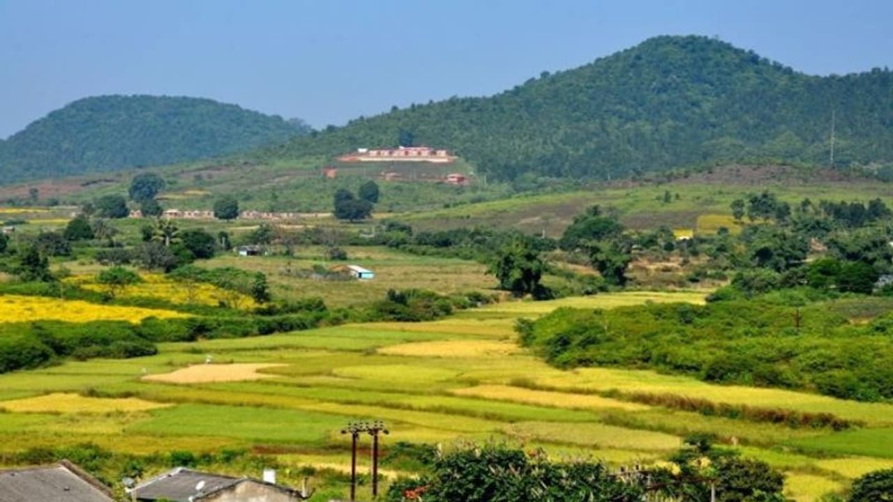 ওড়িশার কাছেই রয়েছে সস্তার কাশ্মীর! ঘুরে আসুন দারিংবাড়ি থেকে ওড়িশার কাছেই রয়েছে সস্তার কাশ্মীর! ঘুরে আসুন দারিংবাড়ি থেকে
