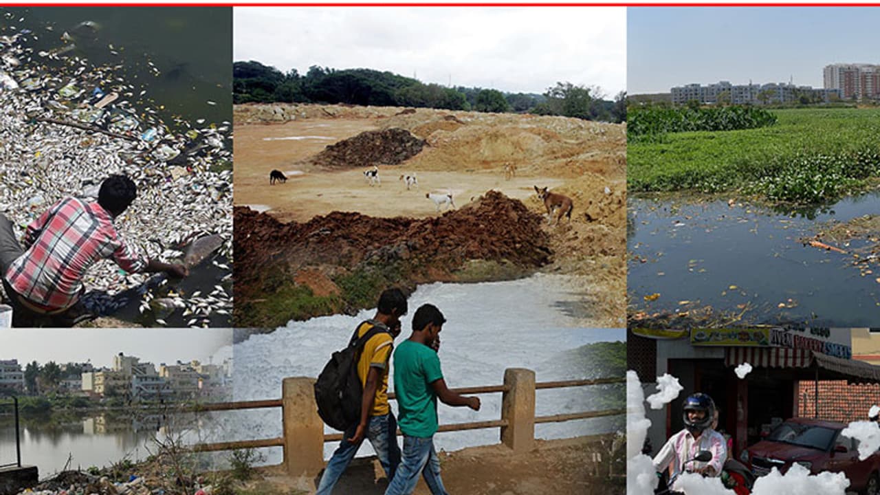 NGT order on Bellandur to be replicated on all lakes NGT order on Bellandur to be replicated on all lakes