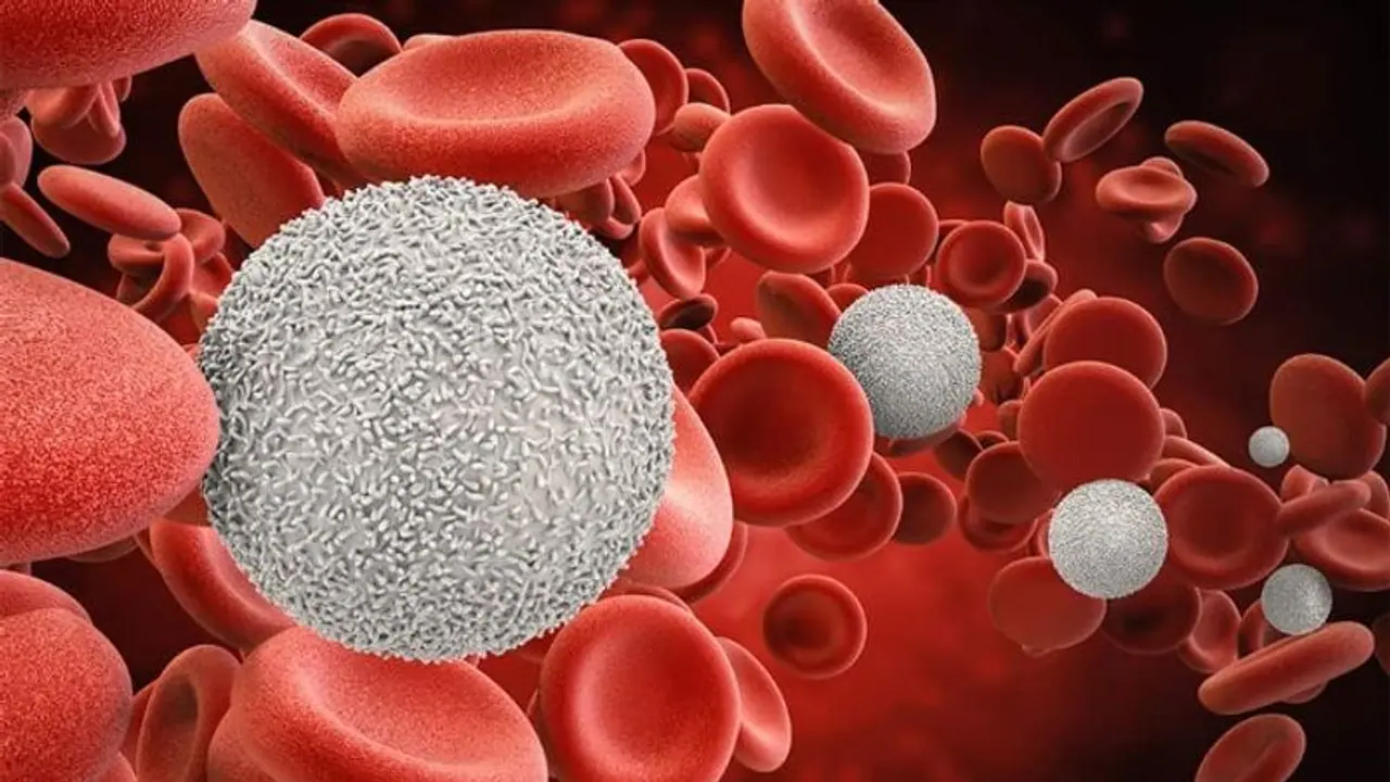 শরীরে রক্ত কম, অ্যানিমিয়ার শিকার! রক্ত ফেরাতে খাদ্য তালিকায় রাখুন এই কয়েকটি খাবার শরীরে রক্ত কম, অ্যানিমিয়ার শিকার! রক্ত ফেরাতে খাদ্য তালিকায় রাখুন এই কয়েকটি খাবার