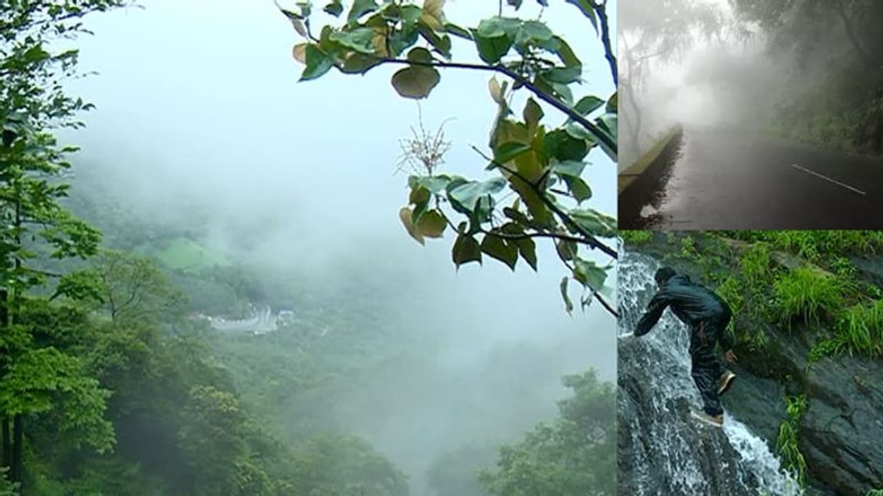 മൺസൂൺ ടൂറിസത്തിനൊരുങ്ങി വയനാട്; ദിവസവുമെത്തുന്നത് കാല്ലക്ഷത്തോളം സഞ്ചാരികള് മൺസൂൺ ടൂറിസത്തിനൊരുങ്ങി വയനാട്; ദിവസവുമെത്തുന്നത് കാല്ലക്ഷത്തോളം സഞ്ചാരികള്