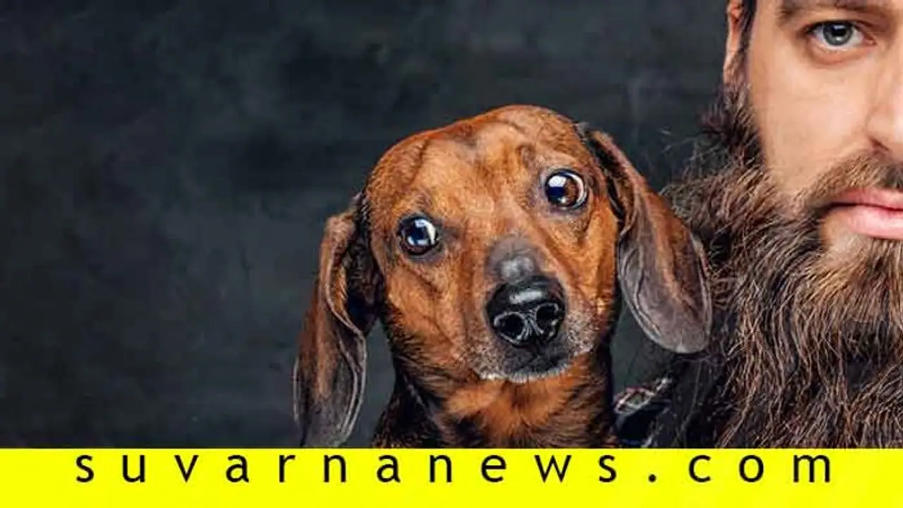 ಗಡ್ಡ ವಿರೋಧಿಗಳಿಗೊಂದು ಸಂತಸದ ಸುದ್ದಿ, ಗಡ್ಡಧಾರಿಗಳಿಗೋ ಆತಂಕ ಗಡ್ಡ ವಿರೋಧಿಗಳಿಗೊಂದು ಸಂತಸದ ಸುದ್ದಿ, ಗಡ್ಡಧಾರಿಗಳಿಗೋ ಆತಂಕ