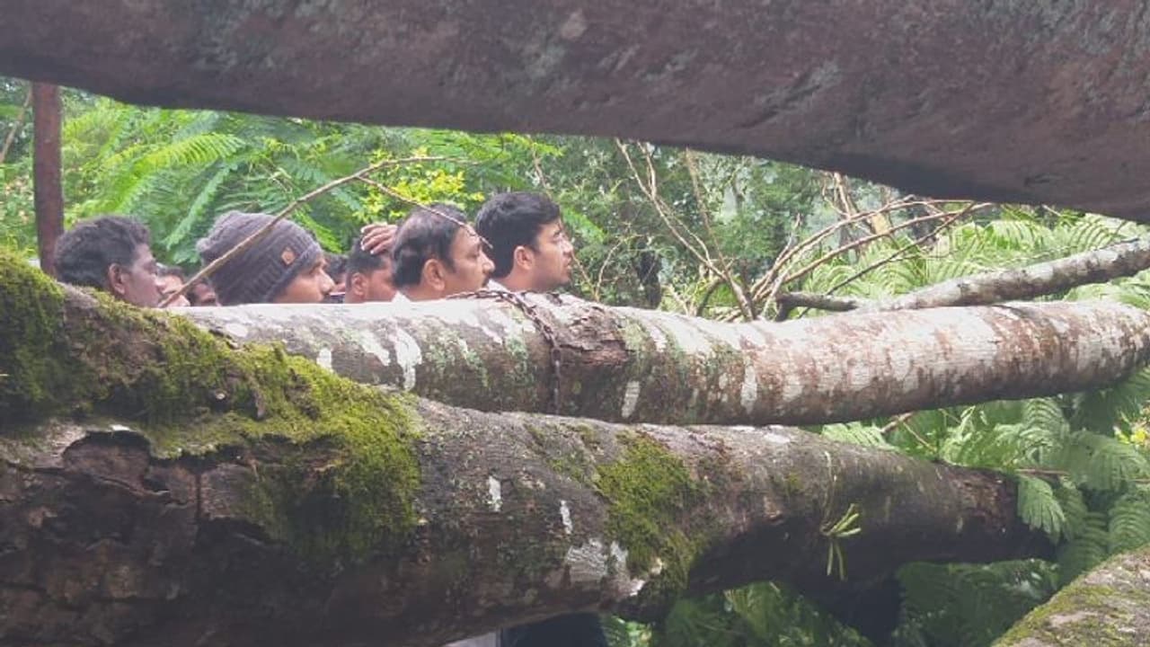 ಚಿಕ್ಕಮಗಳೂರು ರಸ್ತೆಯಲ್ಲಿ ಉರುಳಿದ ಬೃಹತ್ ಮರ : ಟ್ರಾಫಿಕ್ಕಲ್ಲಿ ಸಿಲುಕಿದ ತೇಜಸ್ವಿ ಸೂರ್ಯ ಚಿಕ್ಕಮಗಳೂರು ರಸ್ತೆಯಲ್ಲಿ ಉರುಳಿದ ಬೃಹತ್ ಮರ : ಟ್ರಾಫಿಕ್ಕಲ್ಲಿ ಸಿಲುಕಿದ ತೇಜಸ್ವಿ ಸೂರ್ಯ