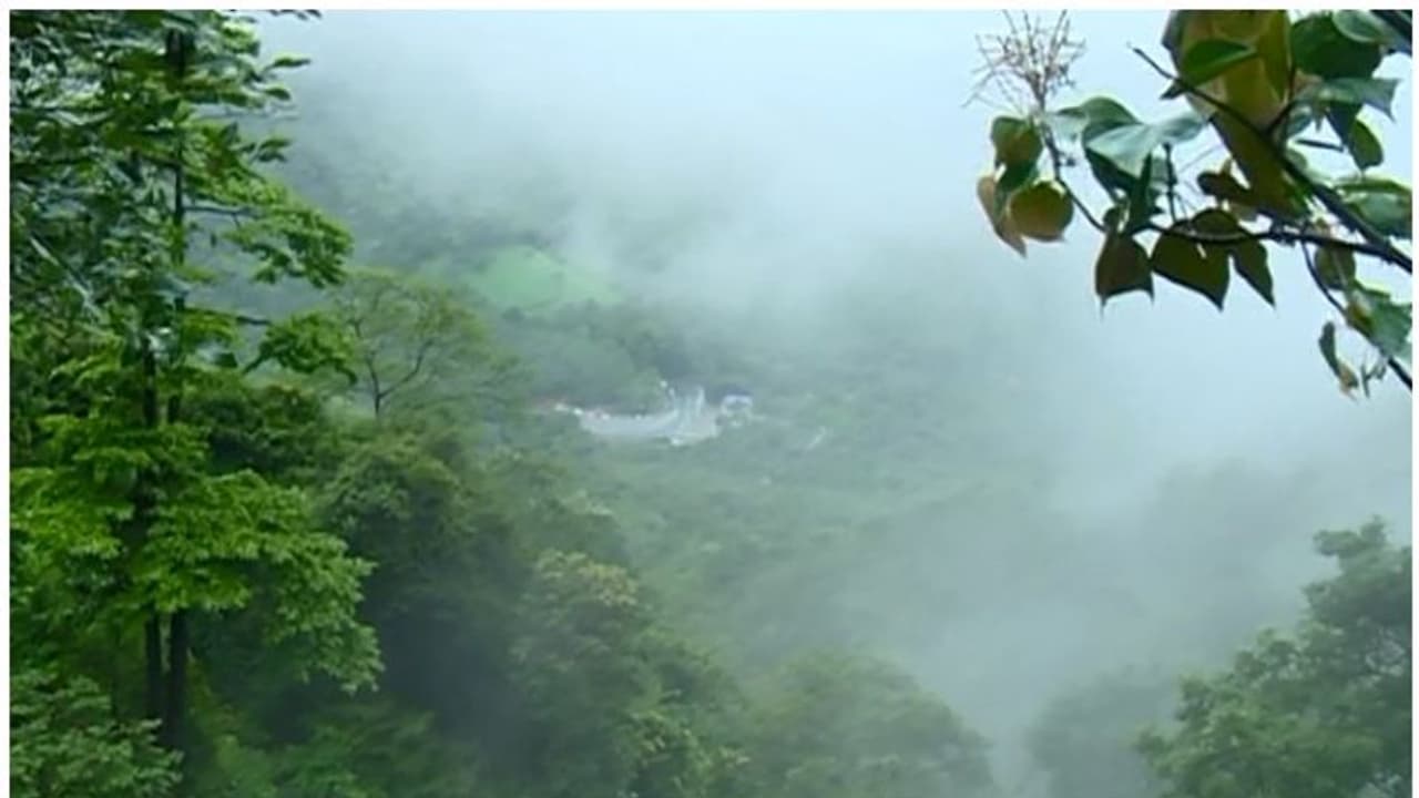 4 ದಿನ ಮಲೆನಾಡು, ಕರಾವಳಿ ಜಿಲ್ಲೆಗಳಲ್ಲಿ ಭಾರಿ ಮಳೆ