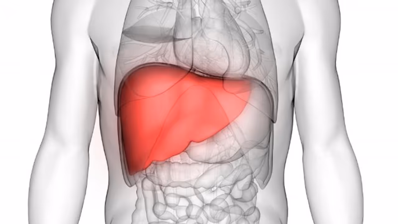 കരള് രോഗം അകറ്റാന് കഴിക്കാം ഈ ഭക്ഷണങ്ങള് കരള് രോഗം അകറ്റാന് കഴിക്കാം ഈ ഭക്ഷണങ്ങള്
