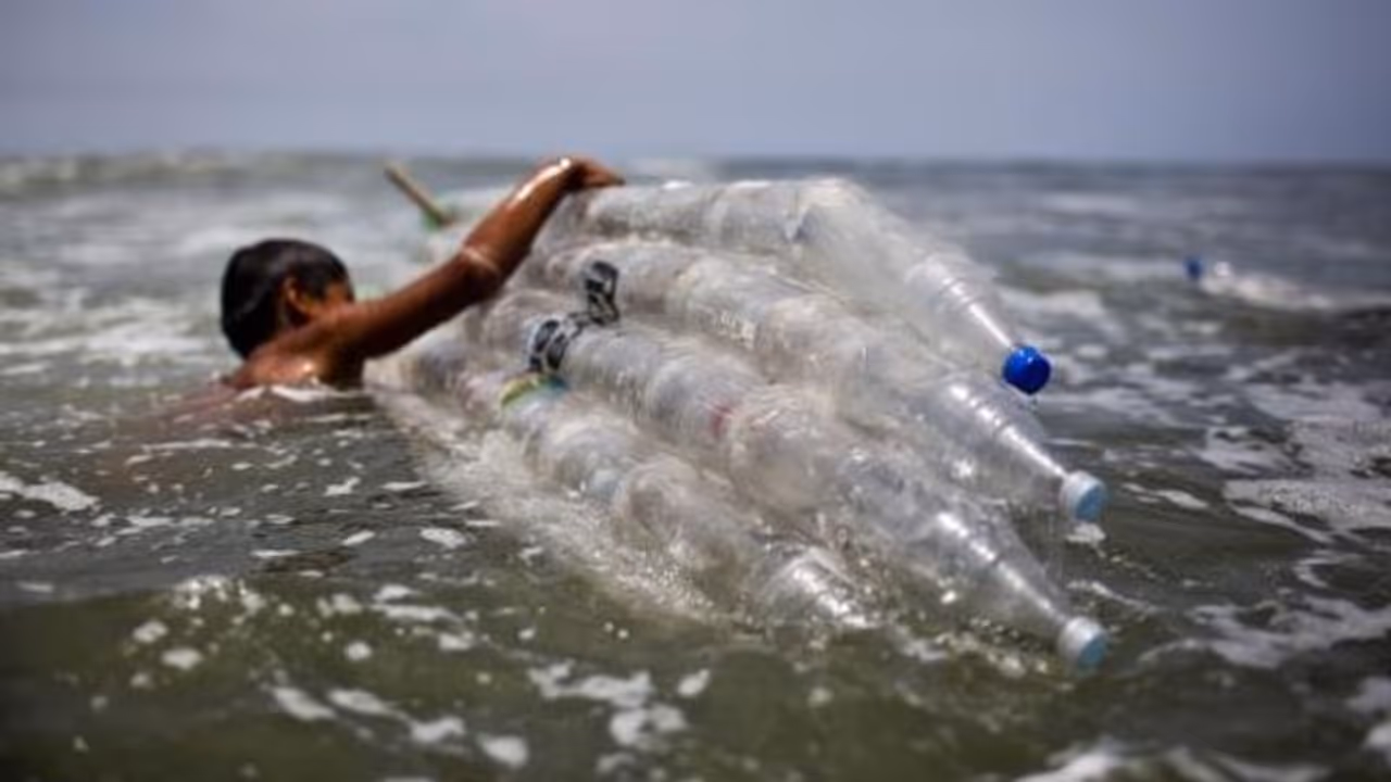 ആഴ്ചയില് ഇത്രയും പ്ലാസ്റ്റിക് നമ്മള് അറിയാതെ ഭക്ഷിക്കുന്നു! ആഴ്ചയില് ഇത്രയും പ്ലാസ്റ്റിക് നമ്മള് അറിയാതെ ഭക്ഷിക്കുന്നു!