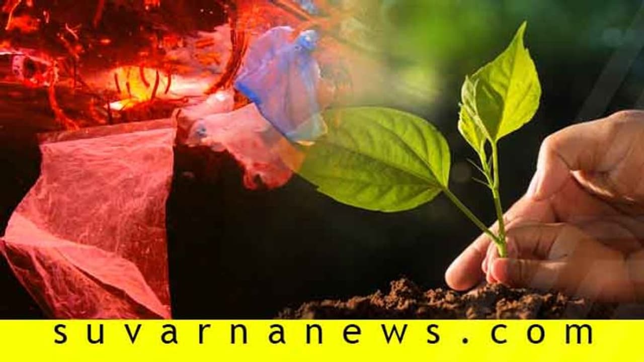 ದಿನಬಳಕೆಯ ಈ ವಸ್ತುಗೆ ಬೈ ಹೇಳಿ, ಬದಲಿ ಏನು ಬಳಸ್ಬೇಕು ಹೇಳ್ತೀವಿ ಇಲ್ ಕೇಳಿ