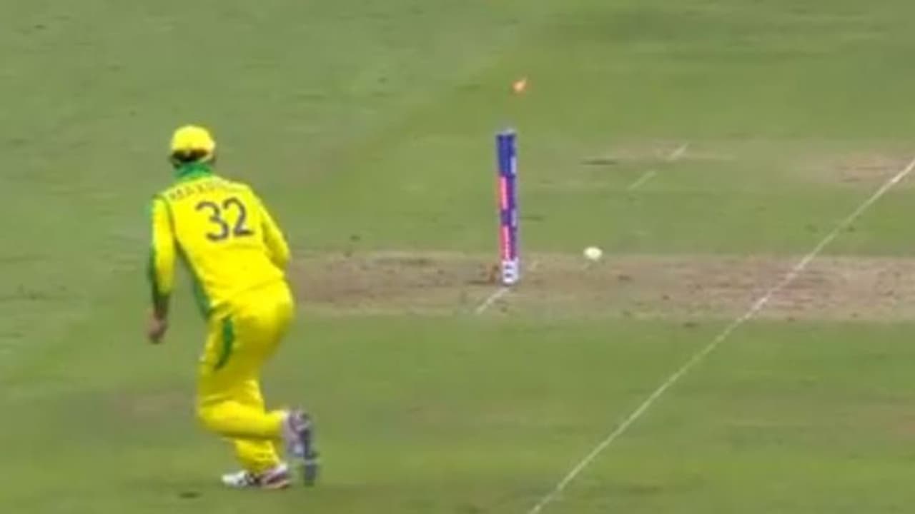 ബാറ്റിങ്ങും ബൗളിങ്ങും പാളി; എന്നാല് തകര്പ്പന് റണ്ണൗട്ടുമായി മാക്സ്വെല് വീഡിയോ കാണാം ബാറ്റിങ്ങും ബൗളിങ്ങും പാളി; എന്നാല് തകര്പ്പന് റണ്ണൗട്ടുമായി മാക്സ്വെല് വീഡിയോ കാണാം