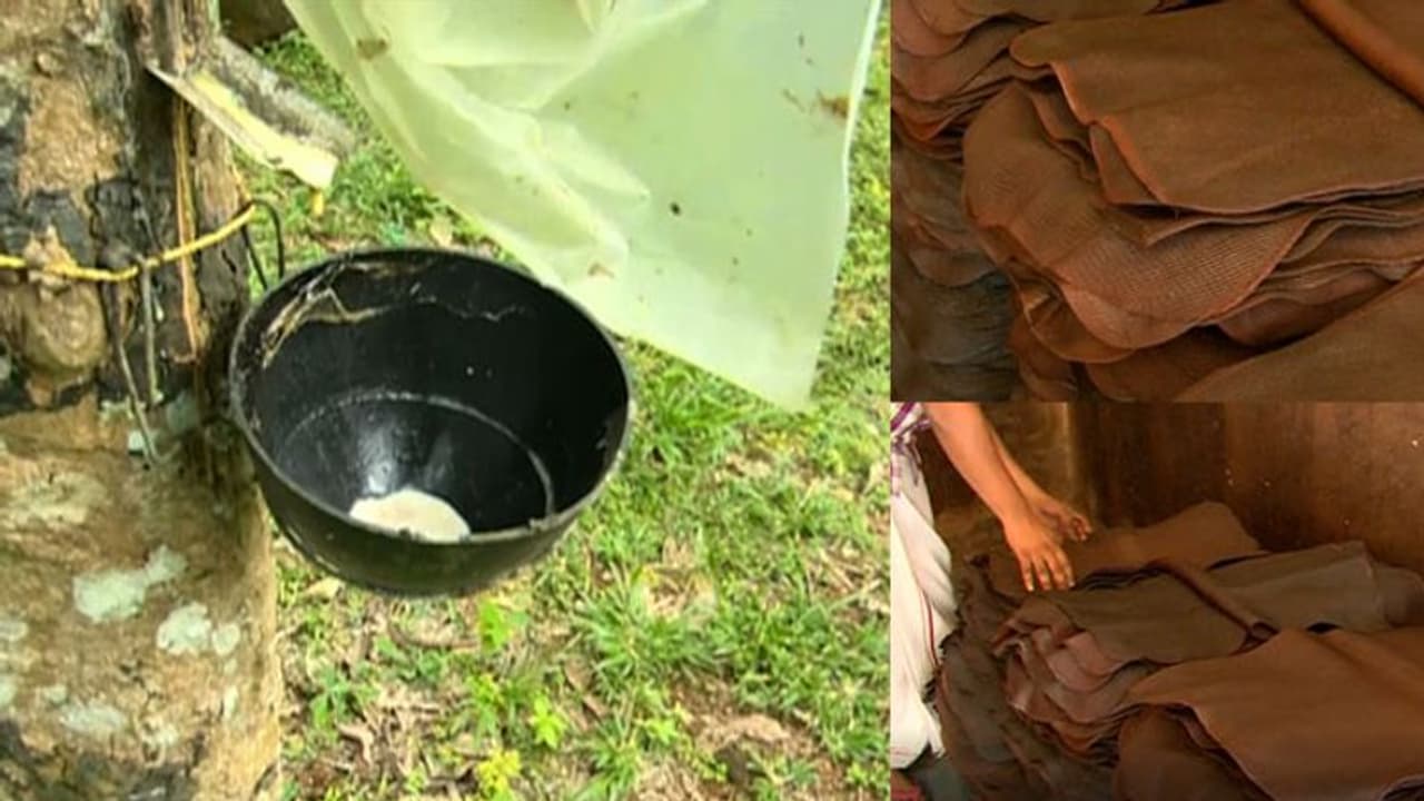 റബ്ബര്‍ വില കുതിക്കുന്നു; ആഭ്യന്തര വിപണിയില്‍ ക്ഷാമം, കൂടുതല്‍ വില നല്‍കാൻ തയ്യാറായി ടയര്‍ കമ്പനികള്‍