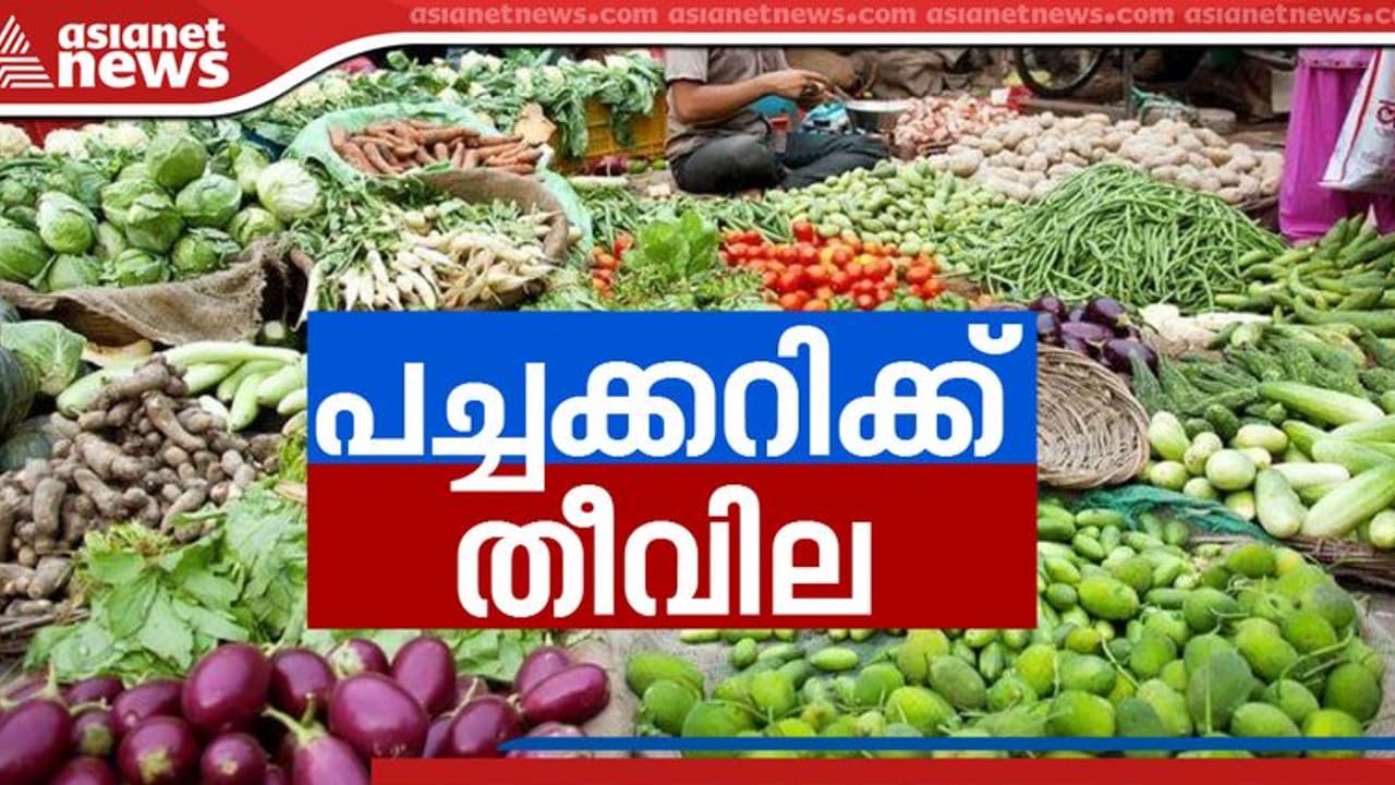 Vegetable Price : പച്ചക്കറി വില റെക്കോർഡിൽ; പച്ചക്കറി കിട്ടാനില്ലെന്ന് വ്യാപാരികൾ, സപ്ലൈകോയും വില കൂട്ടി