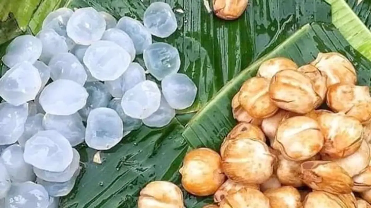 তাল শাঁসের স্বাস্থ্যগুণ অনেক, জেনে নিয়ে আজ থেকেই খাওয়া শুরু করুন তাল শাঁসের স্বাস্থ্যগুণ অনেক, জেনে নিয়ে আজ থেকেই খাওয়া শুরু করুন