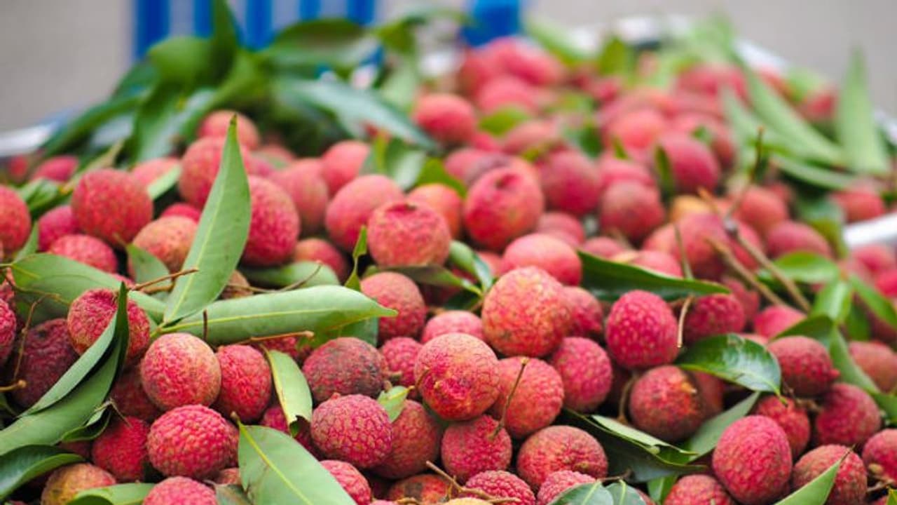 ഹൃദയസുരക്ഷയ്ക്ക് ലിച്ചി? അറിയാം ലിച്ചിയുടെ മൂന്ന് ഗുണങ്ങള്... ഹൃദയസുരക്ഷയ്ക്ക് ലിച്ചി? അറിയാം ലിച്ചിയുടെ മൂന്ന് ഗുണങ്ങള്...