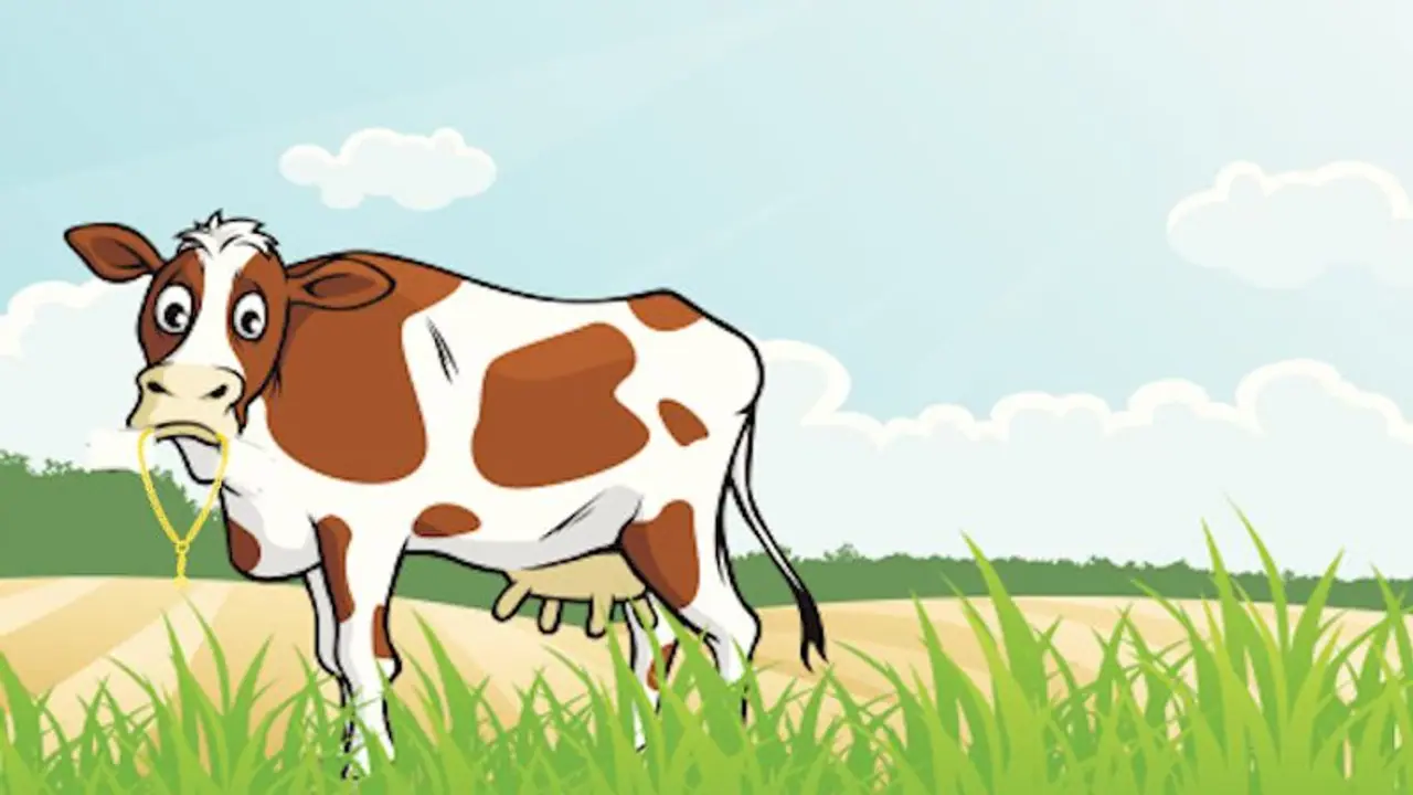 Kerala couple find missing gold chain in cow dung after two years