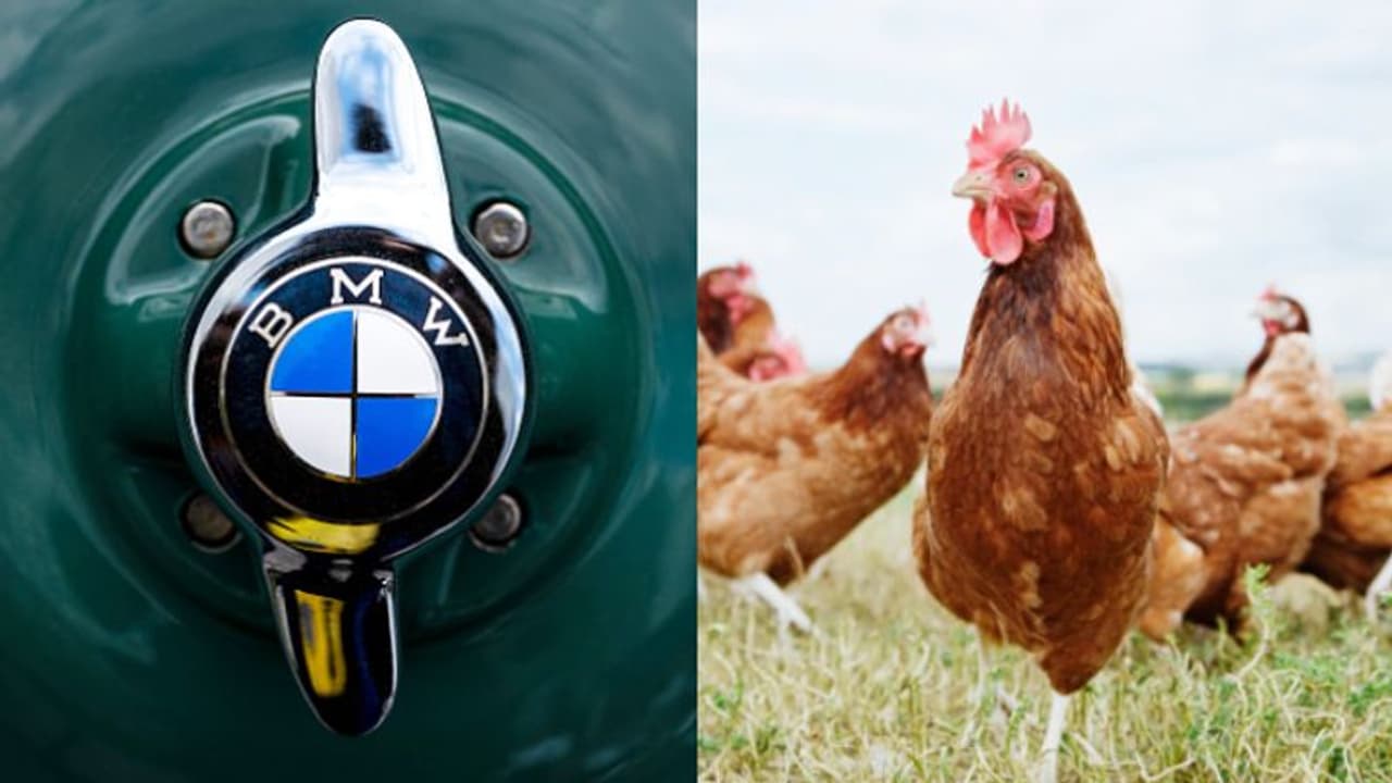 বিএমডব্লু গাড়ির জ্বালানীর খরচ মেটাতে মুরগি চুরি করল এক ব্যক্তি বিএমডব্লু গাড়ির জ্বালানীর খরচ মেটাতে মুরগি চুরি করল এক ব্যক্তি