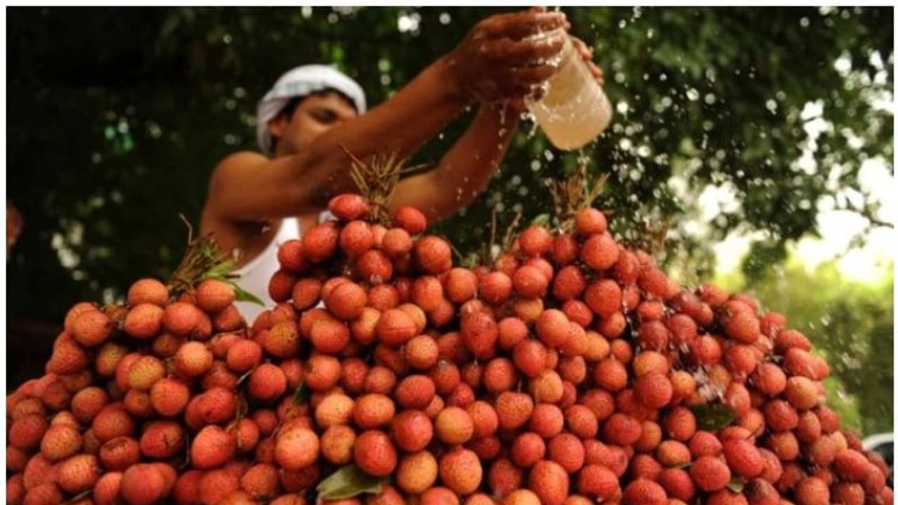 ബീഹാറില് കുട്ടികളുടെ കൂട്ടമരണം; കാരണം ലിച്ചിപ്പഴമോ, ആശങ്ക ശക്തമാകുന്നു ബീഹാറില് കുട്ടികളുടെ കൂട്ടമരണം; കാരണം ലിച്ചിപ്പഴമോ, ആശങ്ക ശക്തമാകുന്നു