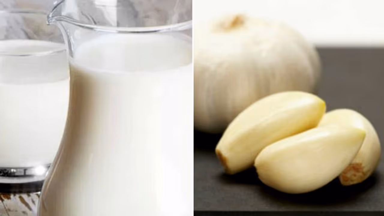 രാത്രി ഉറങ്ങുന്നതിന് മുമ്പ് പാലിൽ വെളുത്തുള്ളി ചേർത്ത് കുടിക്കുന്നത് ശീലമാക്കൂ രാത്രി ഉറങ്ങുന്നതിന് മുമ്പ് പാലിൽ വെളുത്തുള്ളി ചേർത്ത് കുടിക്കുന്നത് ശീലമാക്കൂ