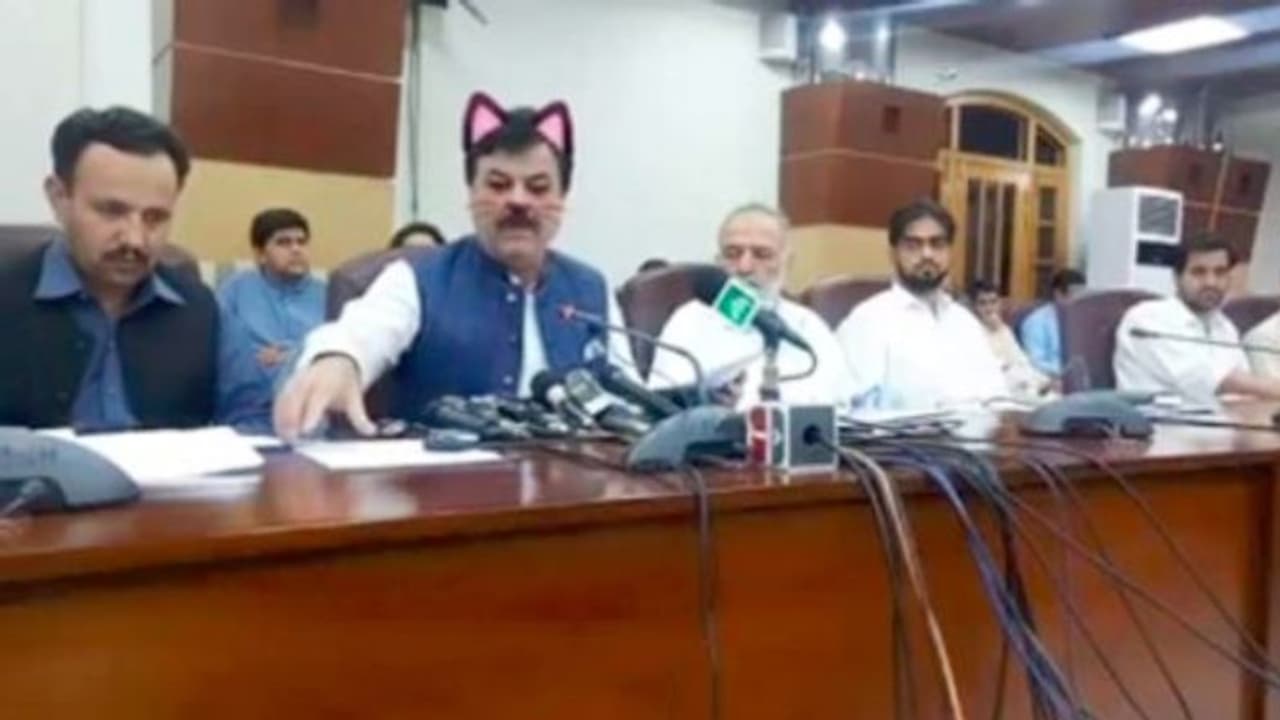 ক্যাট ফিল্টার চালিয়েই লাইভ কনফারেন্সে পাক নেতা, হাসির রোল সোশ্যাল মিডিয়ায়