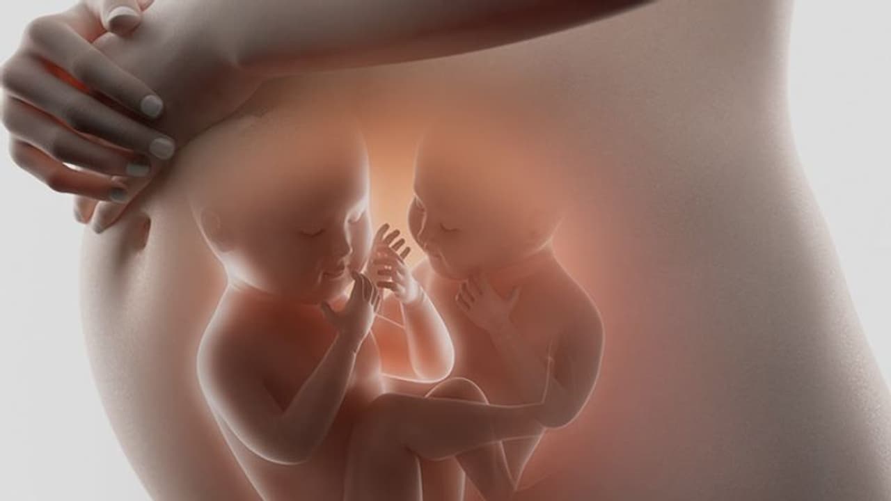 ഗർഭാവസ്ഥയിലെ ഇരട്ടക്കുട്ടികൾ; ശ്രദ്ധിക്കേണ്ട കാര്യങ്ങൾ ഗർഭാവസ്ഥയിലെ ഇരട്ടക്കുട്ടികൾ; ശ്രദ്ധിക്കേണ്ട കാര്യങ്ങൾ