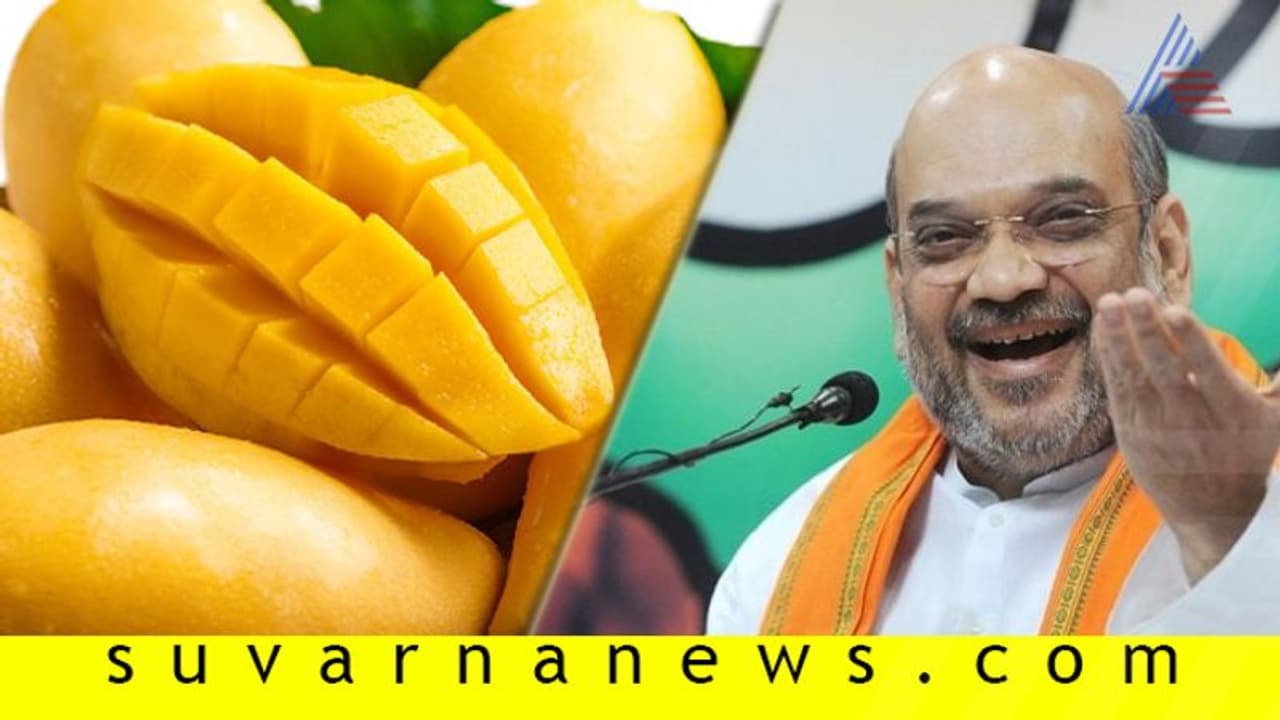 ಮುಸ್ಲಿಮ್ ಬೆಳೆದ ಮಾವಿನ ತಳಿಗೆ ಮೋದಿ ಆಯಿತು, ಇದೀಗ ಅಮಿತ್ ಶಾ ಹೆಸರು ಮುಸ್ಲಿಮ್ ಬೆಳೆದ ಮಾವಿನ ತಳಿಗೆ ಮೋದಿ ಆಯಿತು, ಇದೀಗ ಅಮಿತ್ ಶಾ ಹೆಸರು