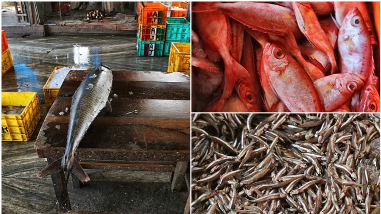 கொரோனாவின் கொடூரம்... குடும்பத்தை காப்பாற்ற மீன் விற்கும் நடிகர்..! கொரோனாவின் கொடூரம்... குடும்பத்தை காப்பாற்ற மீன் விற்கும் நடிகர்..!