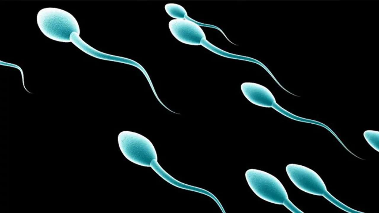 ബീജത്തിന്റെ അളവ് കുറയുന്നതിന്റെ പ്രധാനപ്പെട്ട 7 കാരണങ്ങൾ ബീജത്തിന്റെ അളവ് കുറയുന്നതിന്റെ പ്രധാനപ്പെട്ട 7 കാരണങ്ങൾ