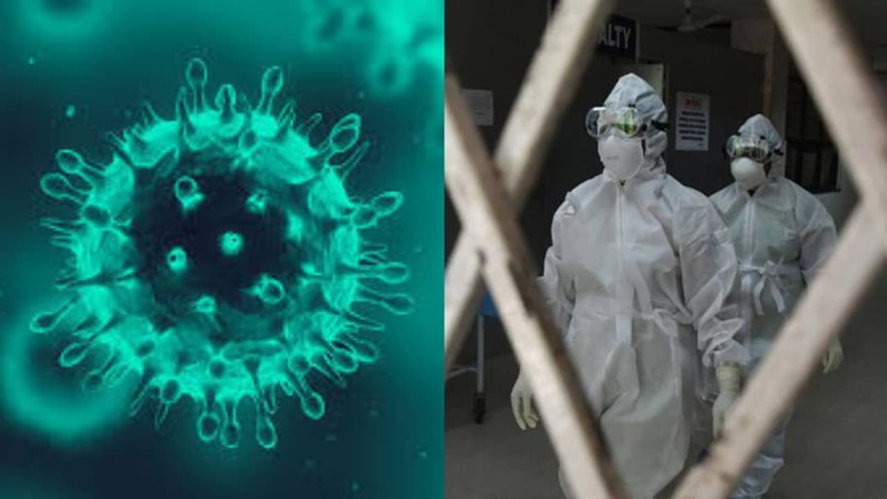 Kerala: Nipah survivor leaves hospital; Ernakulam declared free from deadly virus