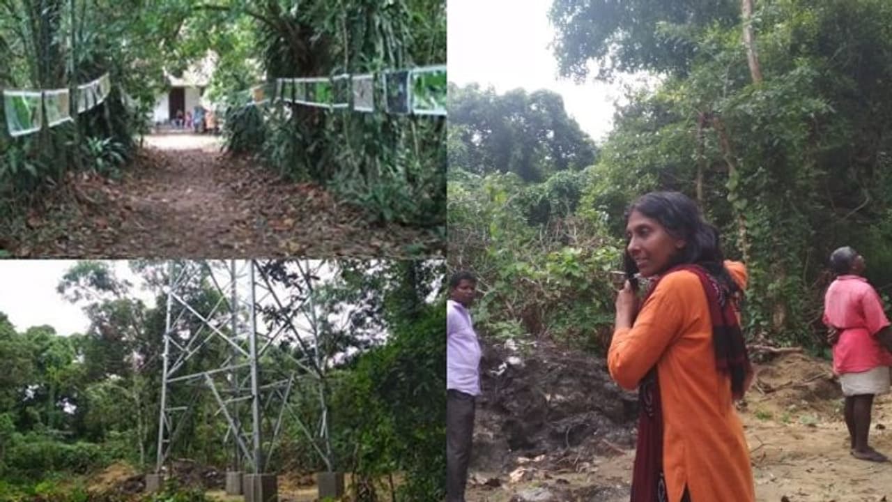 ശാന്തിവനത്തിലെ മരങ്ങളുടെ ചില്ലകള് മുറിച്ചു; മുടി മുറിച്ച് പ്രതിഷേധിച്ച് സ്ഥലമുടമ ശാന്തിവനത്തിലെ മരങ്ങളുടെ ചില്ലകള് മുറിച്ചു; മുടി മുറിച്ച് പ്രതിഷേധിച്ച് സ്ഥലമുടമ