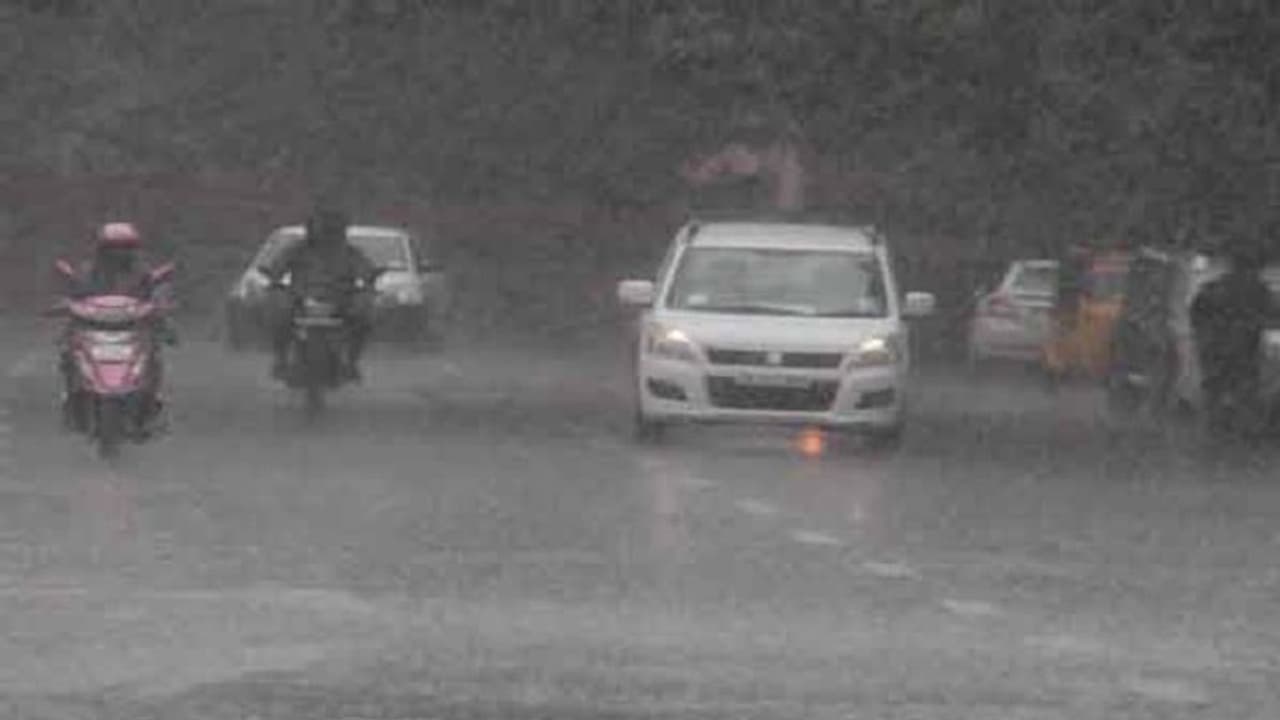 কলকাতায় বর্ষা! জানুন কোথায় কতটা বৃষ্টি হবে আগামী ২৪ ঘণ্টা কলকাতায় বর্ষা! জানুন কোথায় কতটা বৃষ্টি হবে আগামী ২৪ ঘণ্টা