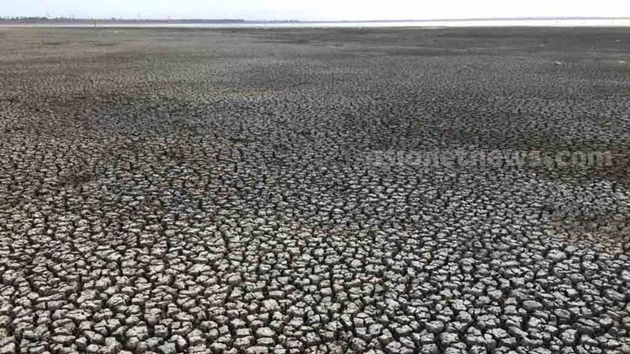 Jharkhand officials asked to be prepared to face drought Jharkhand officials asked to be prepared to face drought