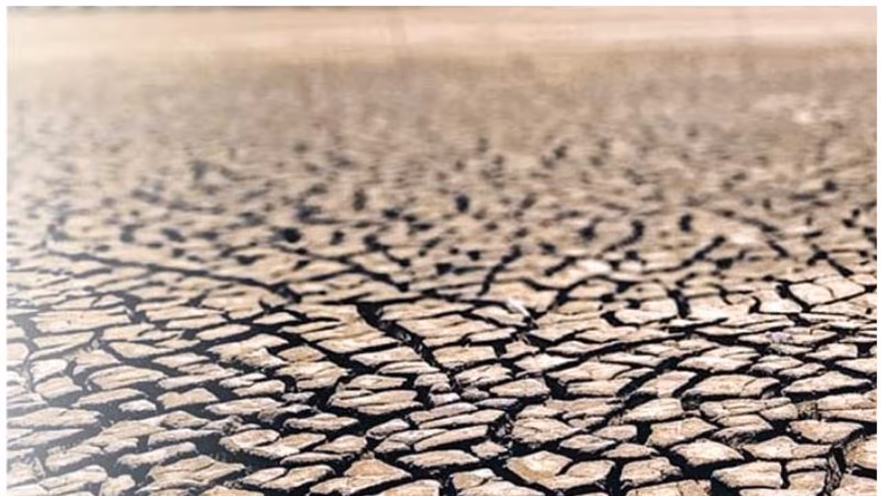 Tamil Nadu seeks special package of Rs 1,000 crore to address water crisis Tamil Nadu seeks special package of Rs 1,000 crore to address water crisis