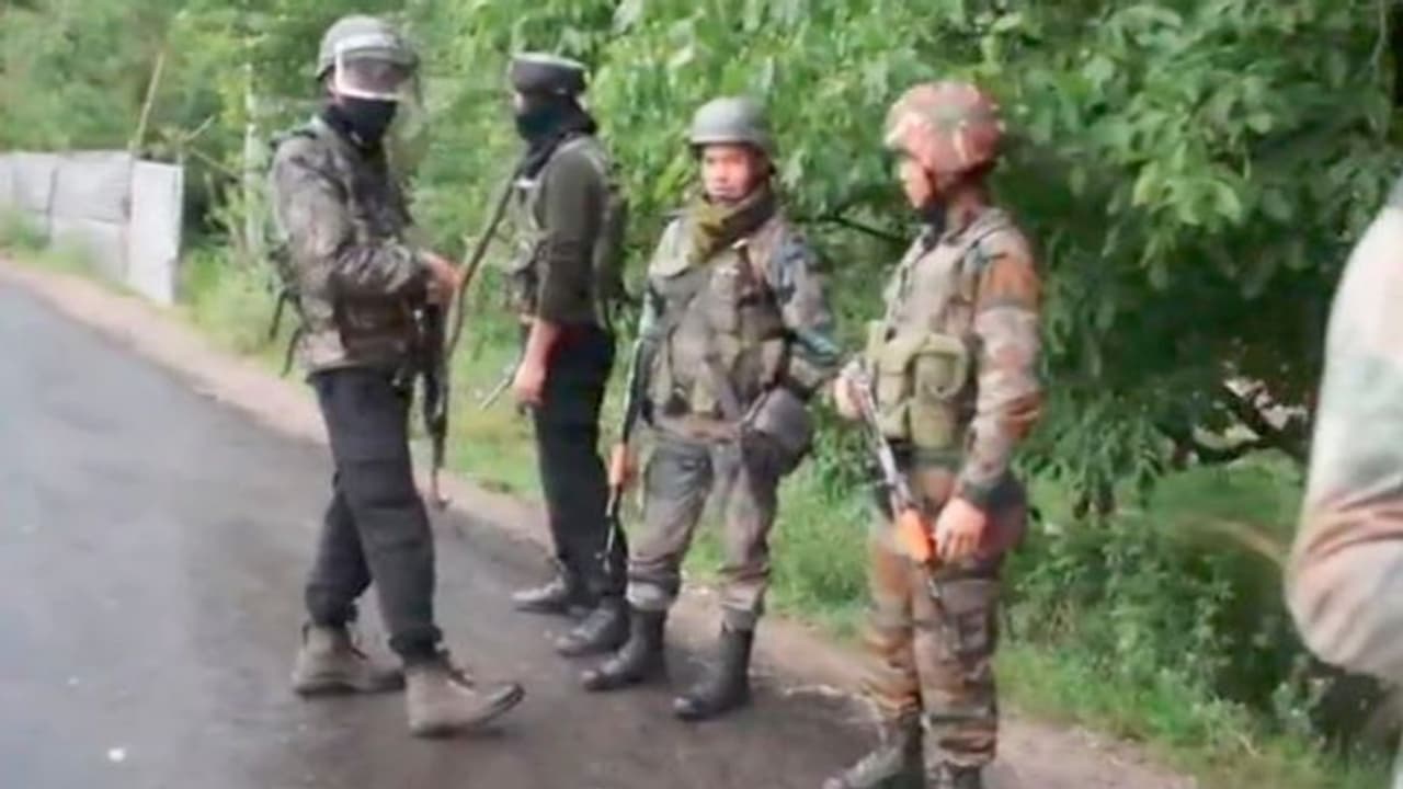 সোপিয়ানে সেনাবাহিনীর এনকাউন্টারে নিহত ২ জঙ্গি