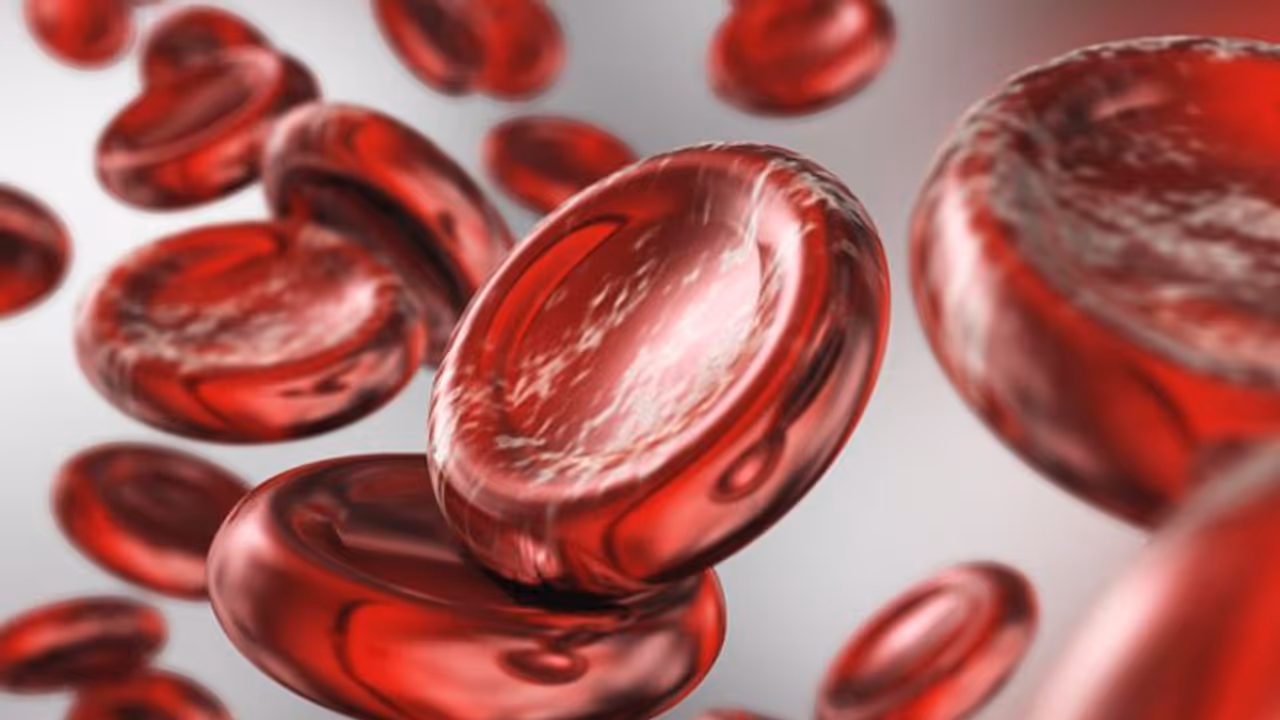 ഹീമോഗ്ലോബിന്റെ അളവ് കൂട്ടാൻ സഹായിക്കുന്ന ആറ് ഭക്ഷണങ്ങൾ ഹീമോഗ്ലോബിന്റെ അളവ് കൂട്ടാൻ സഹായിക്കുന്ന ആറ് ഭക്ഷണങ്ങൾ