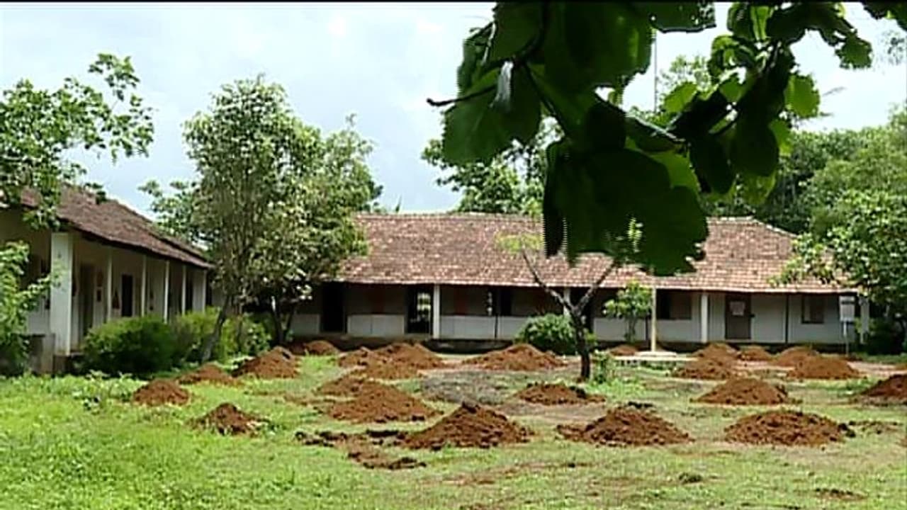 മാനേജർ സ്കൂൾ പൂട്ടി, പിടിഎ തുറപ്പിച്ചു; സ്കൂൾ മുറ്റത്ത് വാഴകൃഷിക്ക് കുഴിയെടുത്ത് മാനേജര് മാനേജർ സ്കൂൾ പൂട്ടി, പിടിഎ തുറപ്പിച്ചു; സ്കൂൾ മുറ്റത്ത് വാഴകൃഷിക്ക് കുഴിയെടുത്ത് മാനേജര്