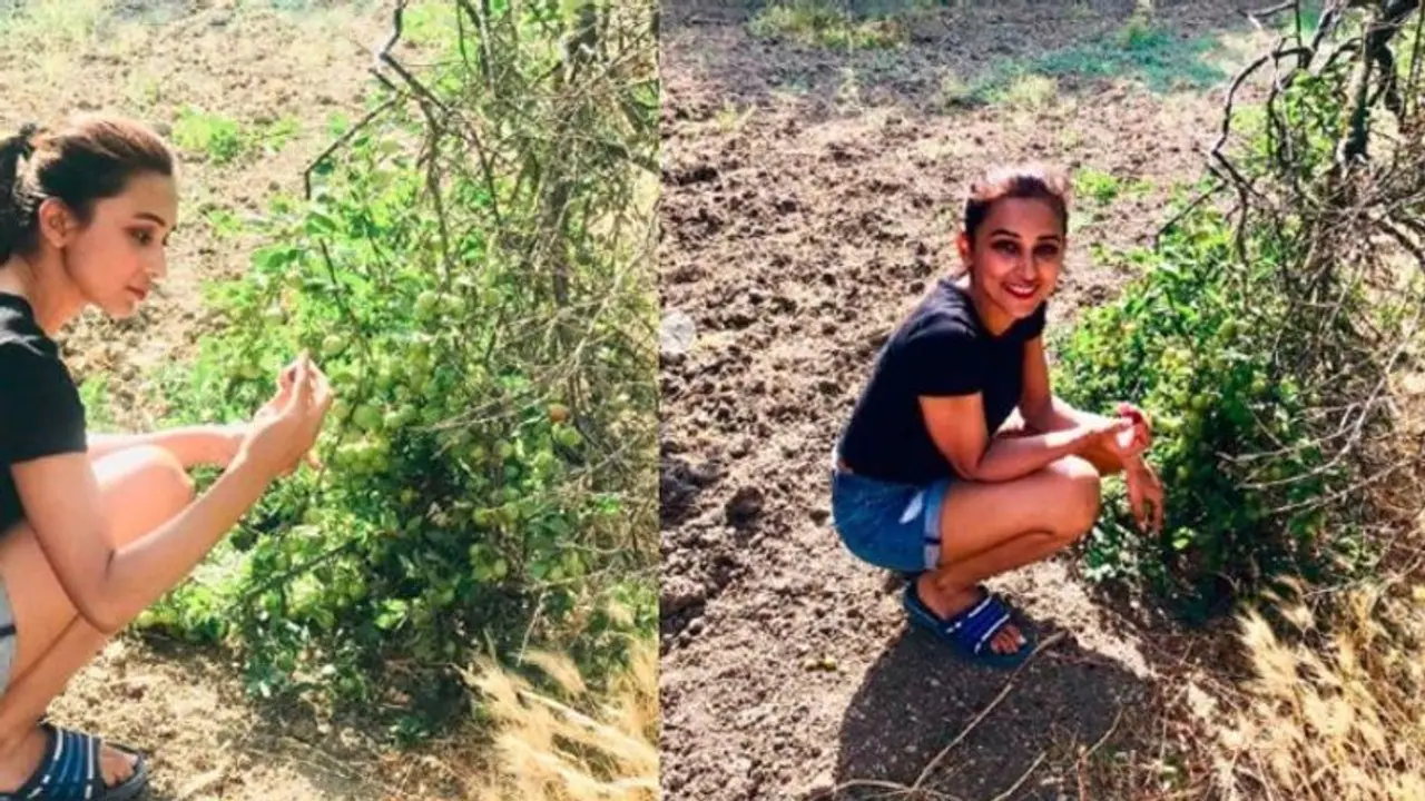 মিমি গাছ থেকে ফল পেড়ে খাচ্ছেন! হঠাৎ এমন কাণ্ড কেন, দেখুন ভিডিও মিমি গাছ থেকে ফল পেড়ে খাচ্ছেন! হঠাৎ এমন কাণ্ড কেন, দেখুন ভিডিও