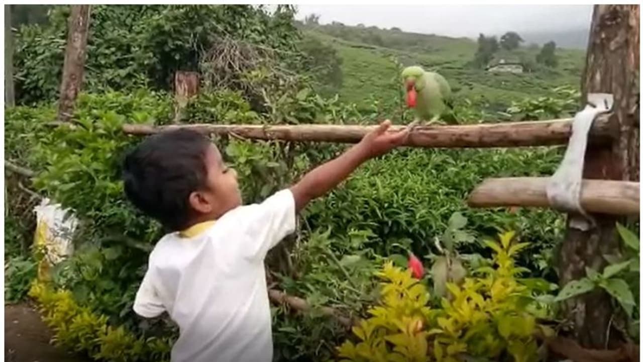 മിലനും മീനുവും തമ്മിലെന്ത് ? ഒരു അപൂര്വ്വ സൗഹൃദത്തിന്റെ കഥ മിലനും മീനുവും തമ്മിലെന്ത് ? ഒരു അപൂര്വ്വ സൗഹൃദത്തിന്റെ കഥ