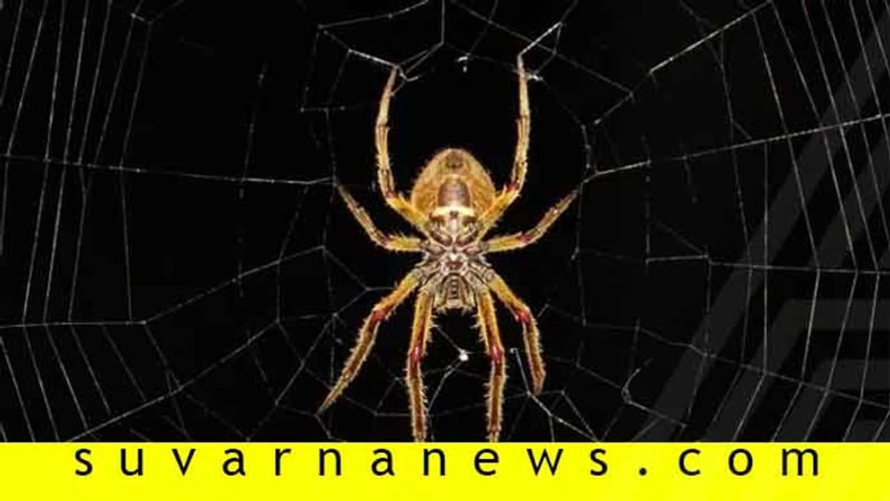 ನಲ್ಲೀಲಿ ಹನಿ ನೀರು, ಪರಿಸರಕ್ಕೂ ಹಾನಿ, ಮನೆಗೂ ಅಶುಭ ನಲ್ಲೀಲಿ ಹನಿ ನೀರು, ಪರಿಸರಕ್ಕೂ ಹಾನಿ, ಮನೆಗೂ ಅಶುಭ