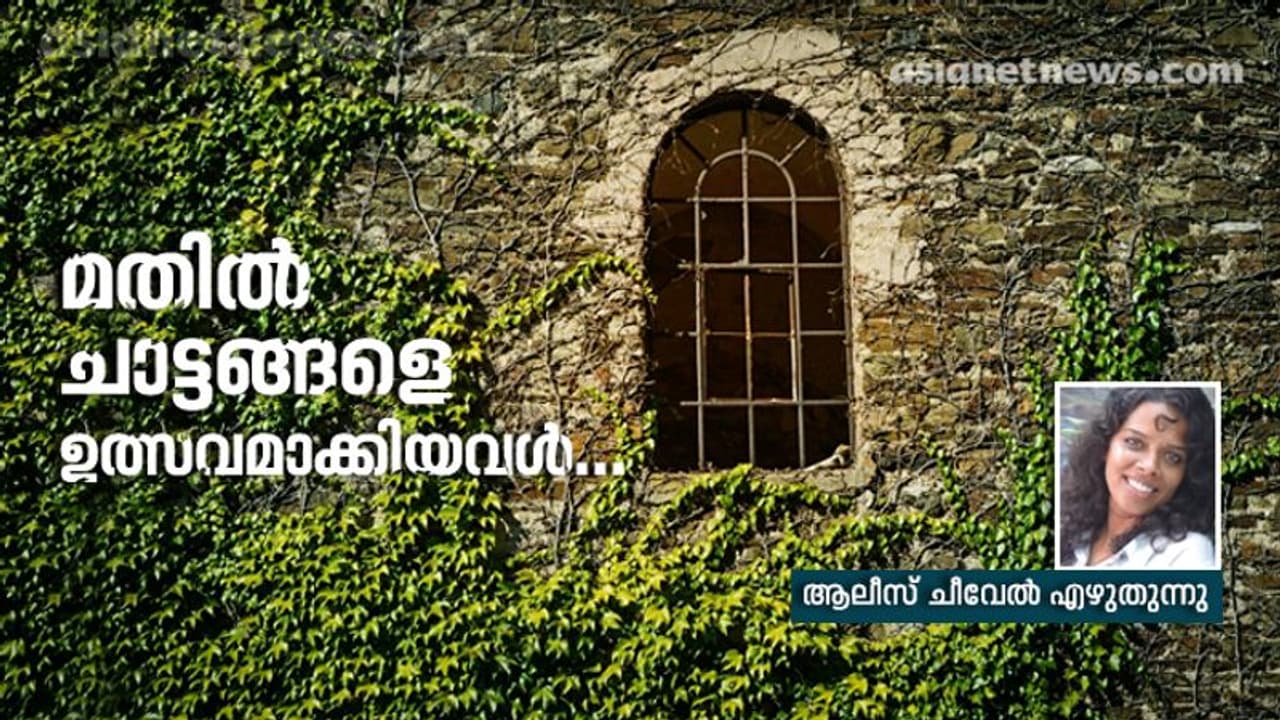 ജീവിതം സുന്ദരമാക്കുന്ന ചാട്ടങ്ങൾ... സൗഹൃദങ്ങൾ... ജീവിതം സുന്ദരമാക്കുന്ന ചാട്ടങ്ങൾ... സൗഹൃദങ്ങൾ...