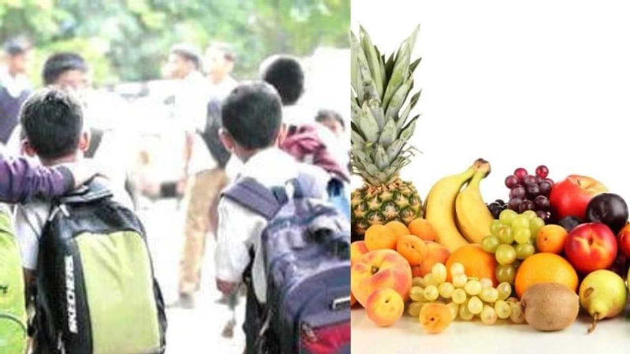 പൊതുവിദ്യാലയങ്ങളില് ഭക്ഷണത്തിനൊപ്പം പഴങ്ങളും; പൊതുവിദ്യാഭ്യാസ ഡയറക്ടറേറ്റ് പദ്ധതി ശുപാര്ശ സമര്പ്പിച്ചു പൊതുവിദ്യാലയങ്ങളില് ഭക്ഷണത്തിനൊപ്പം പഴങ്ങളും; പൊതുവിദ്യാഭ്യാസ ഡയറക്ടറേറ്റ് പദ്ധതി ശുപാര്ശ സമര്പ്പിച്ചു